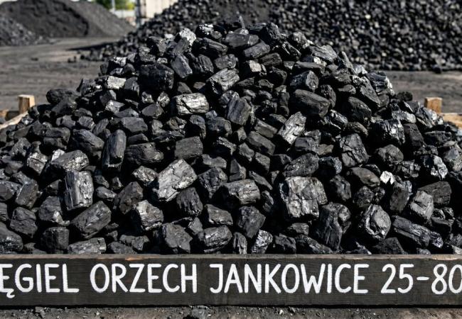 Orzech Jankowice 25–80 mm