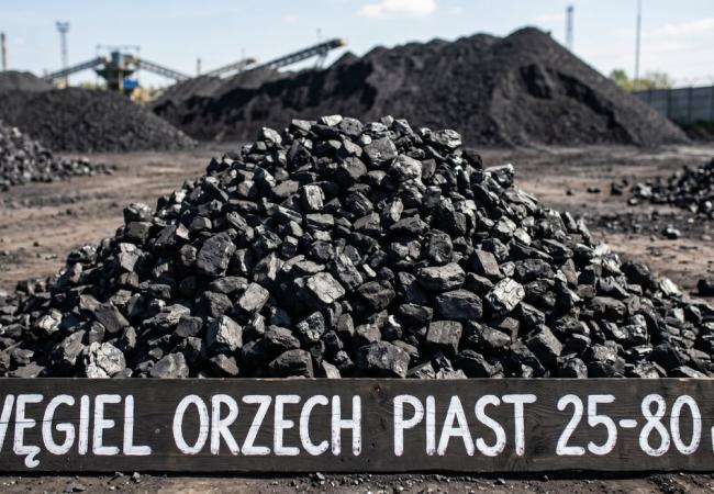 Orzech Piast 25–80 mm