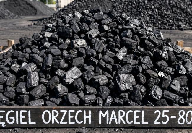 Orzech Marcel 25–80 mm