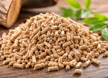 Pellet - Wodzisław Śląski