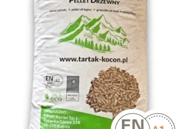 Pellet - Wodzisław Śląski