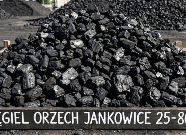 Orzech Jankowice 25–80 mm