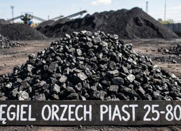 Orzech Piast 25–80 mm