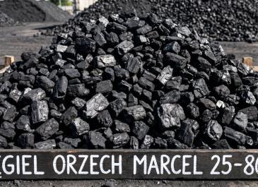 Orzech Marcel 25–80 mm